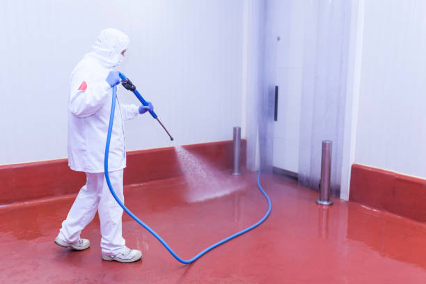 Best Restaurant Pressure Washing  in Daleville, IN