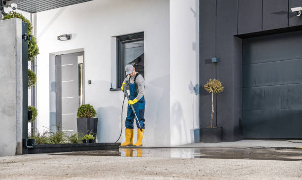 Best Pool Deck Cleaning  in Daleville, IN